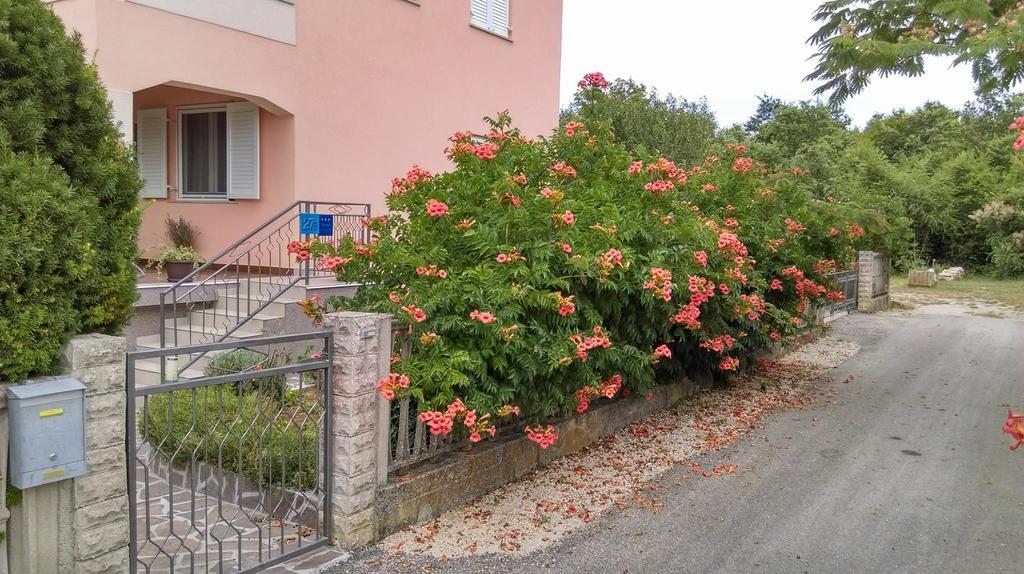 Rina Apartments Labin  Esterno foto